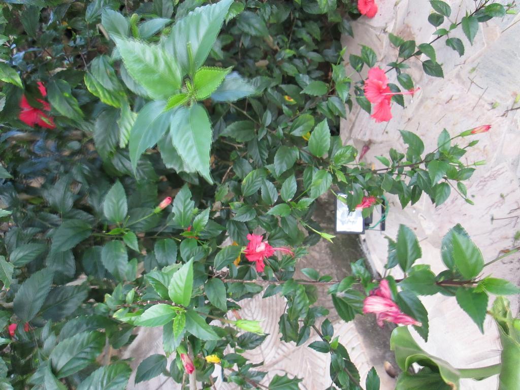 Pousada As Reliquias De Minas Tiradentes Exterior photo